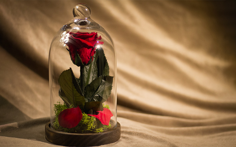 preserved-red-rose-enclosed-in-a-glass-display-dome